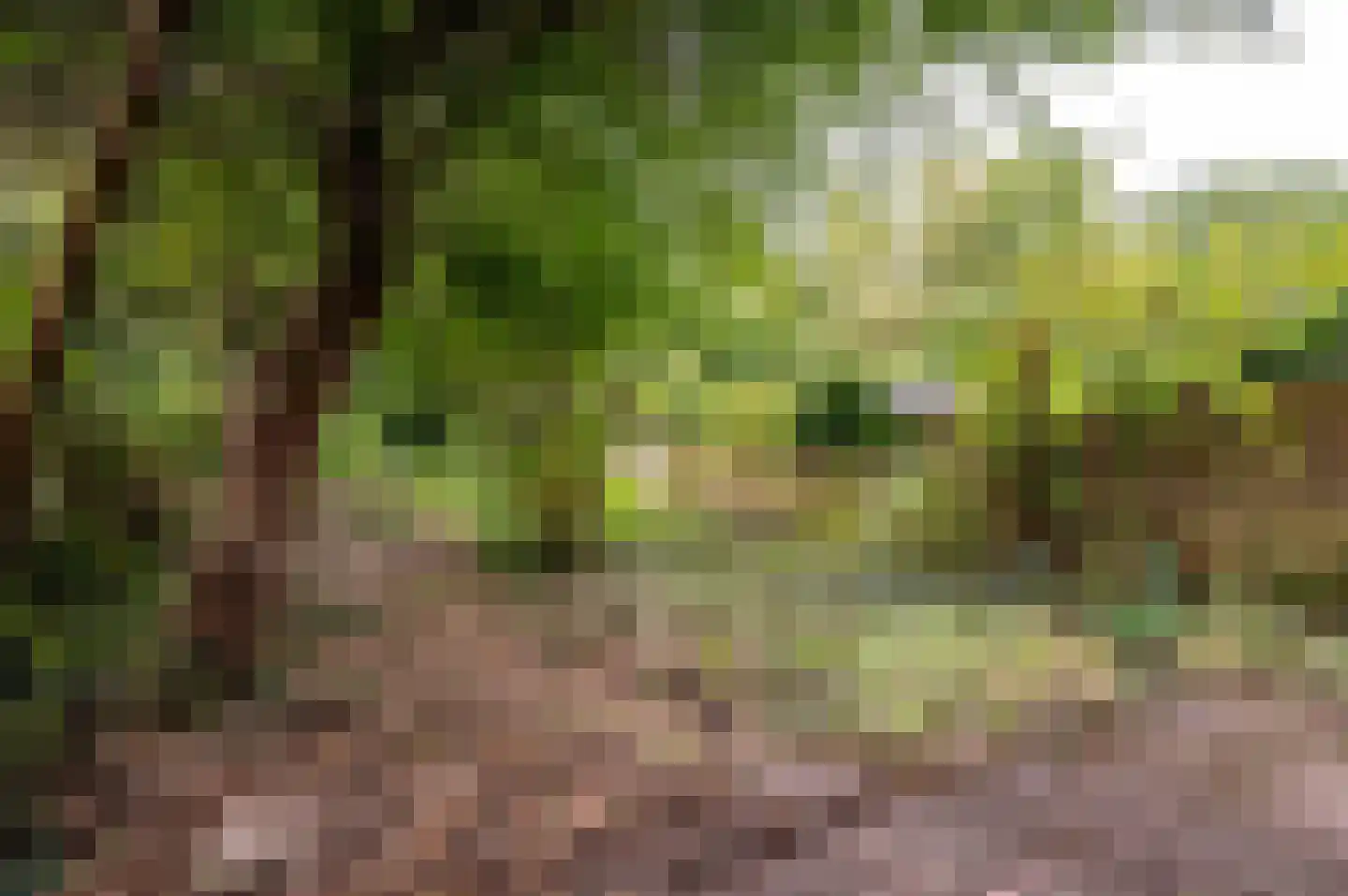 Rozengaard 13 18 Lelystad thumbnail 32