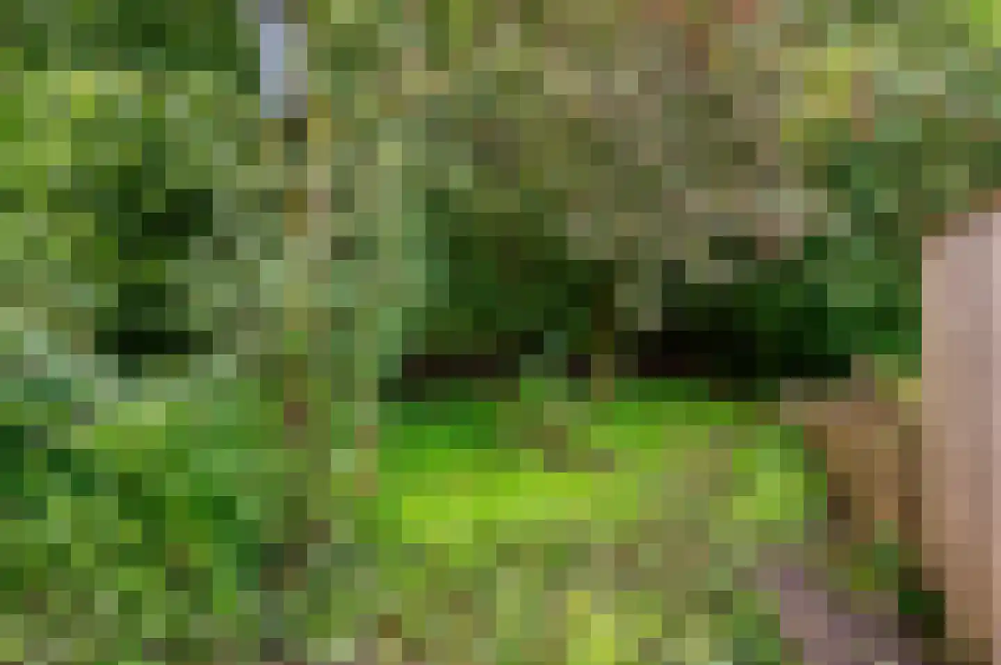 Rozengaard 13 18 Lelystad thumbnail 34