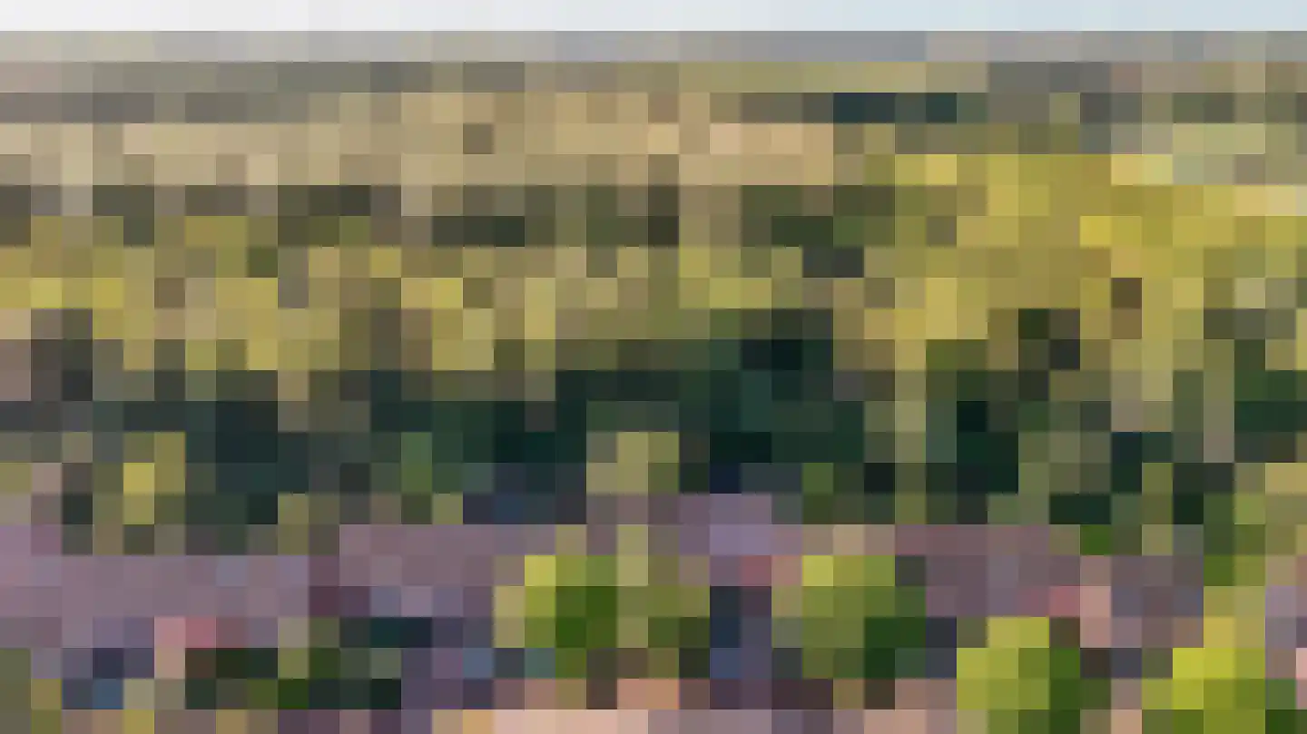 Rozengaard 13 18 Lelystad thumbnail 4