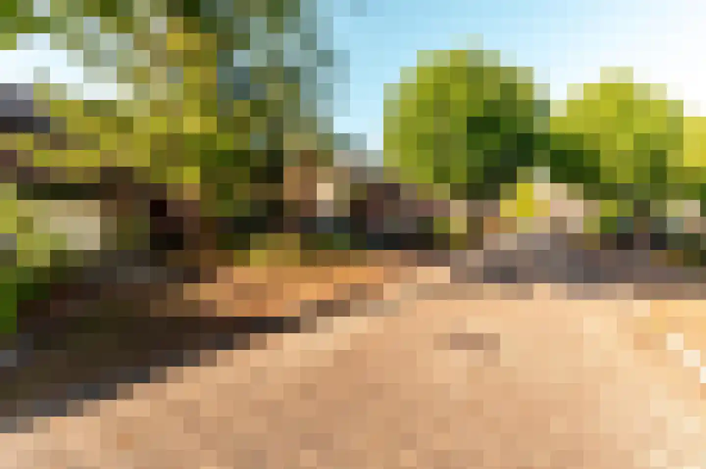 Rozengaard 13 18 Lelystad thumbnail 42