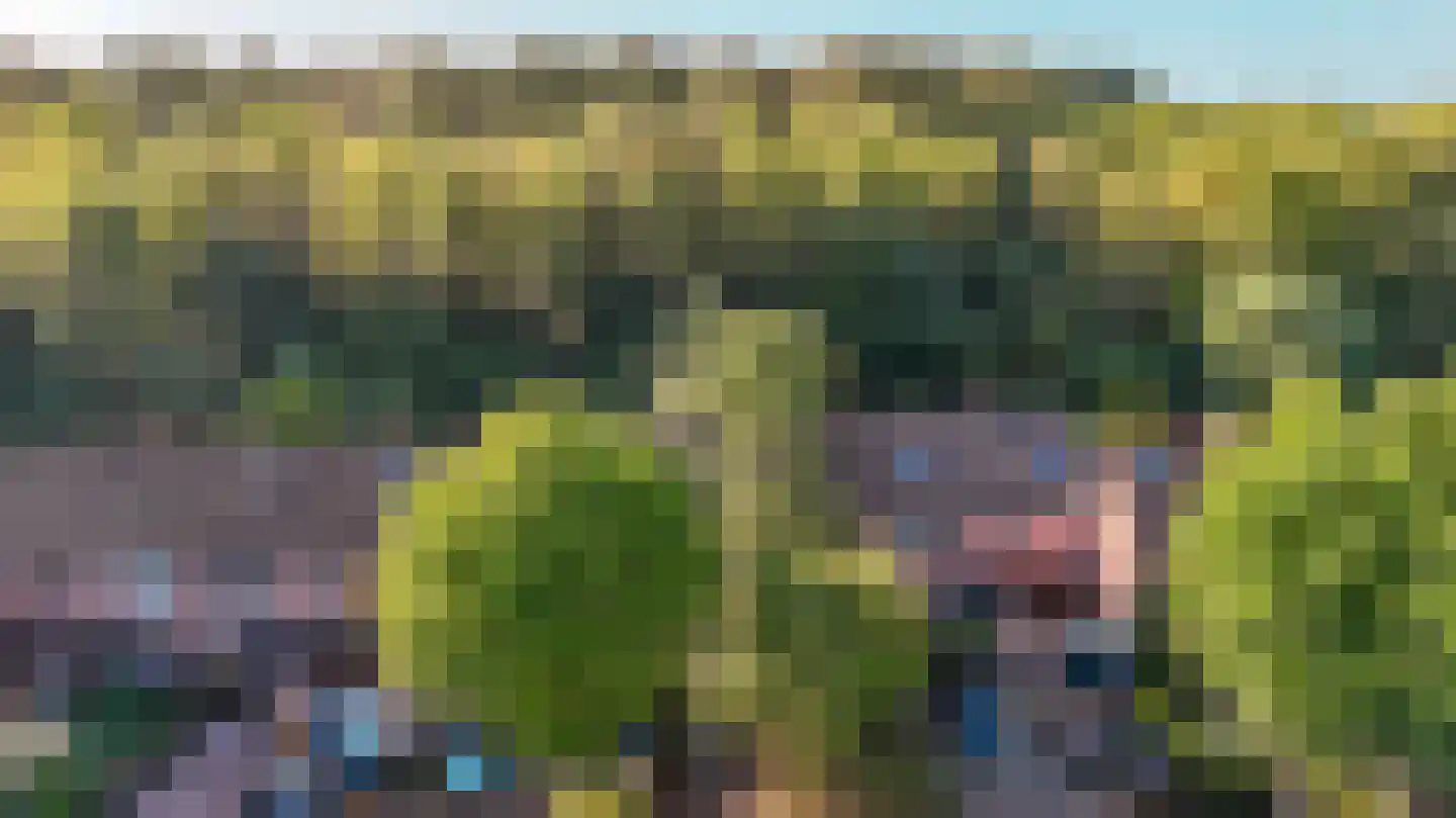 Rozengaard 13 18 Lelystad thumbnail 43