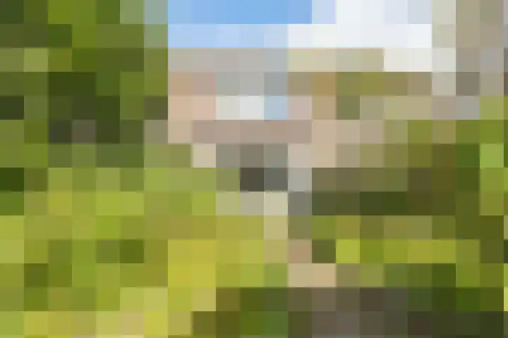 Rozengaard 14 14 3 Lelystad thumbnail 28
