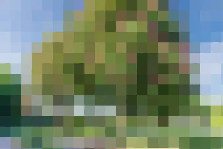 Rozengaard 14 38 Lelystad thumbnail 45