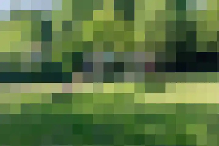 Rozengaard 14 38 Lelystad thumbnail 47
