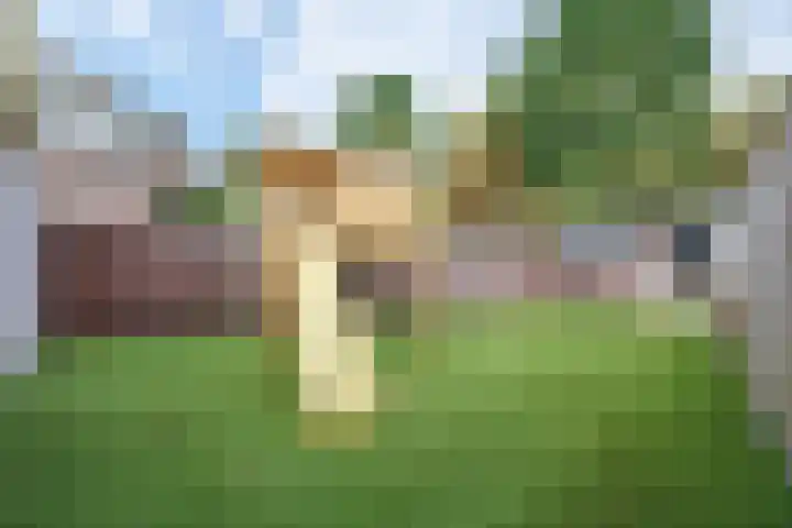 Rozengaard 15 15 3 Lelystad thumbnail 15