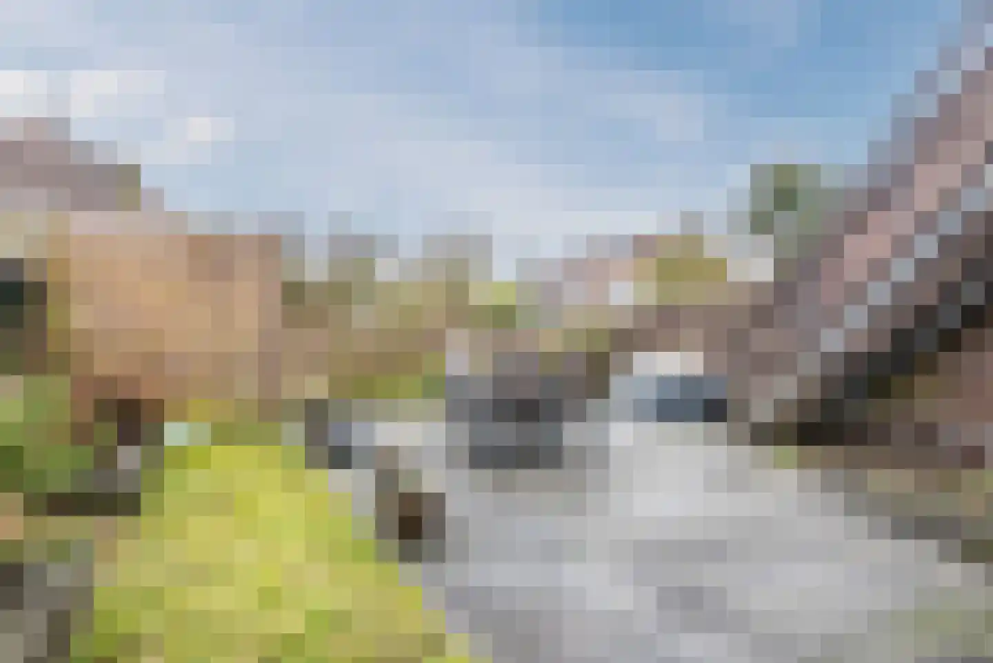 Rozengaard 15 36 Lelystad thumbnail 38