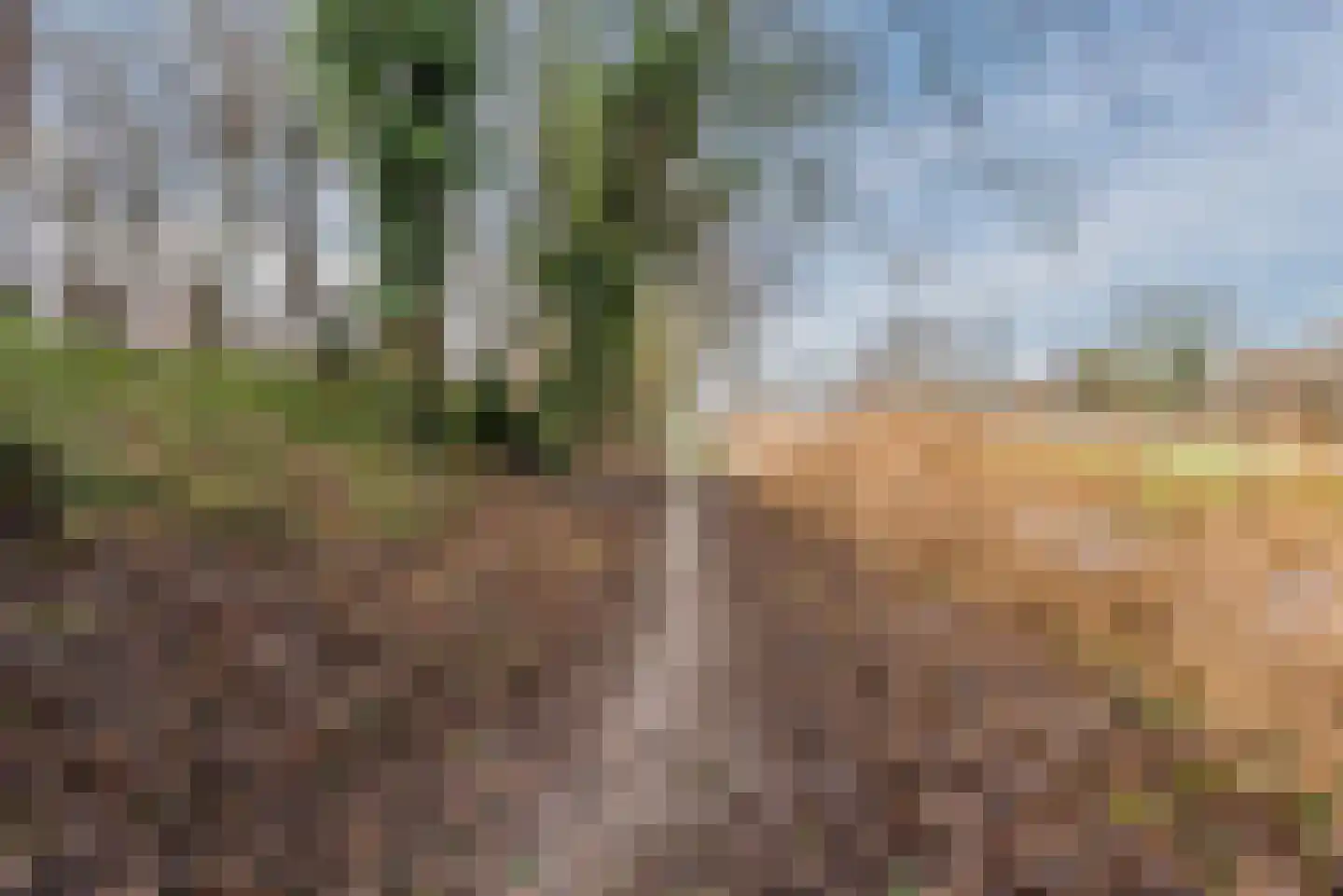 Rozengaard 15 36 Lelystad thumbnail 42