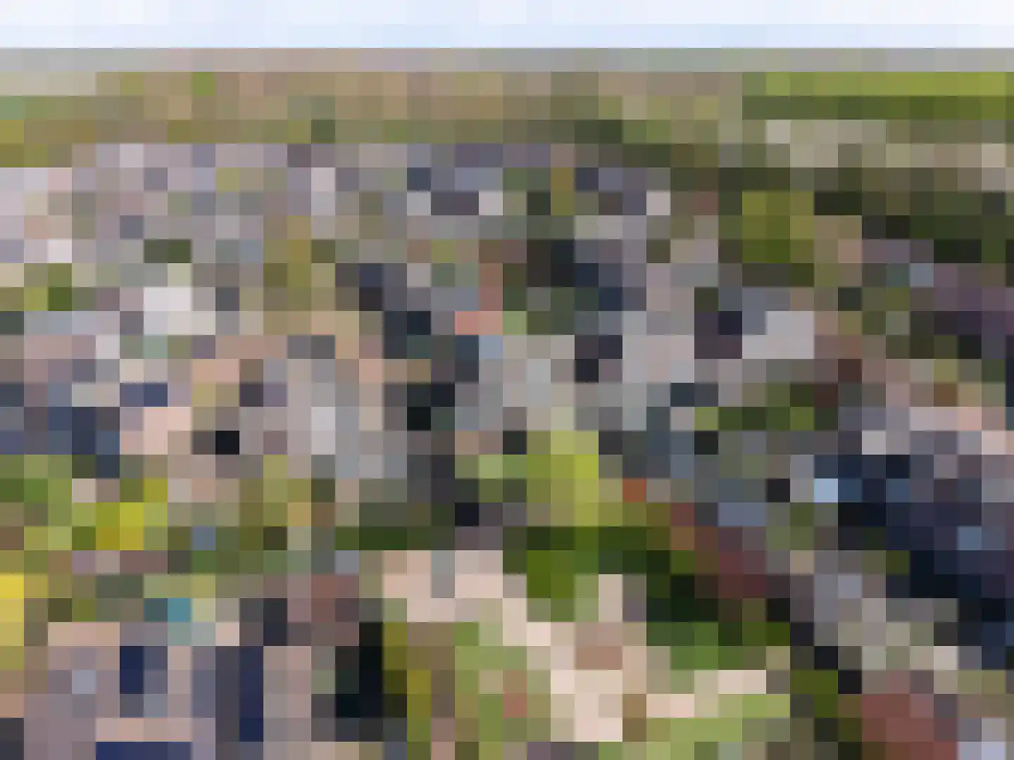 Rozengaard 18 11 Lelystad thumbnail 45