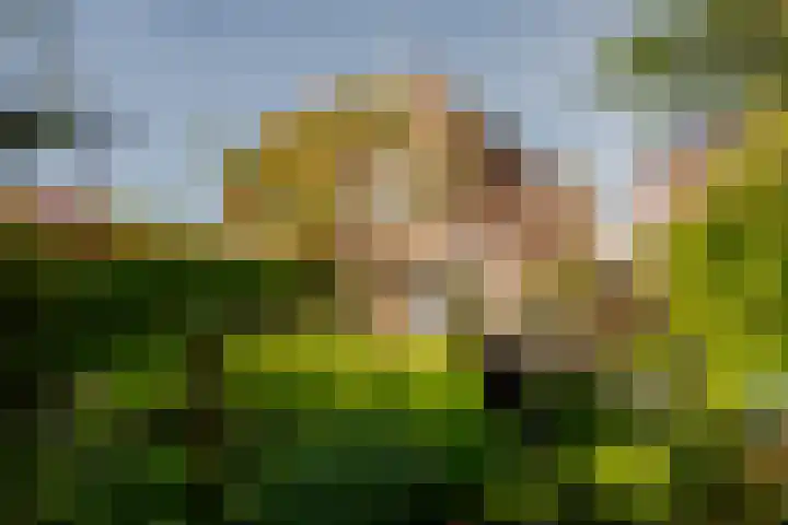 Rozengaard 18 18 29 Lelystad thumbnail 27