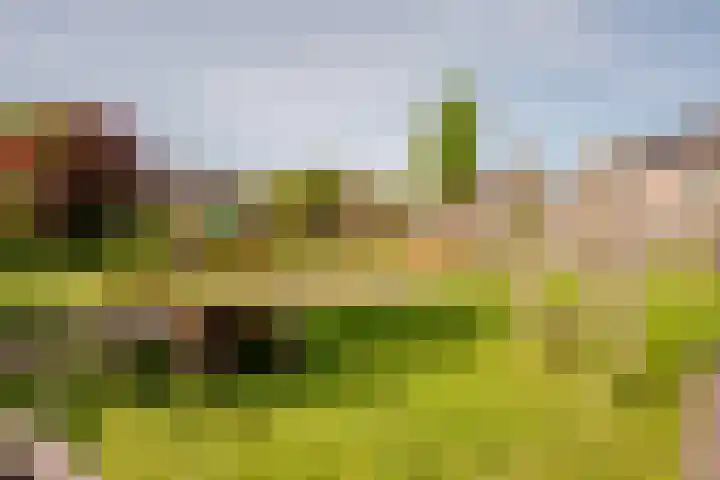 Rozengaard 18 18 29 Lelystad thumbnail 38