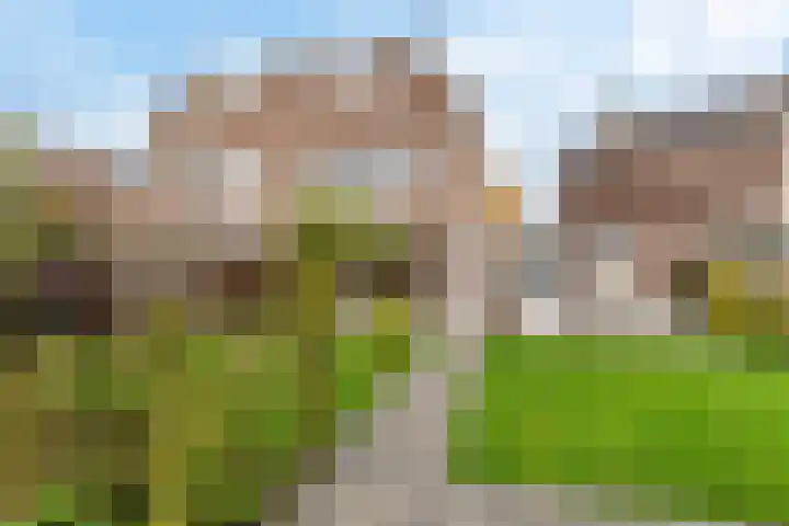 Rozengaard 18 37 Lelystad thumbnail 36