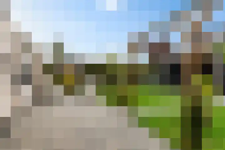 Rozengaard 18 37 Lelystad thumbnail 37