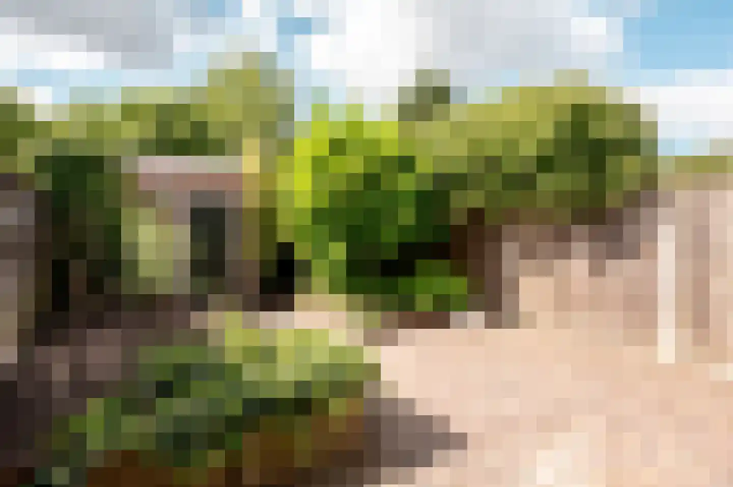 Rozengaard 18 6 Lelystad thumbnail 30