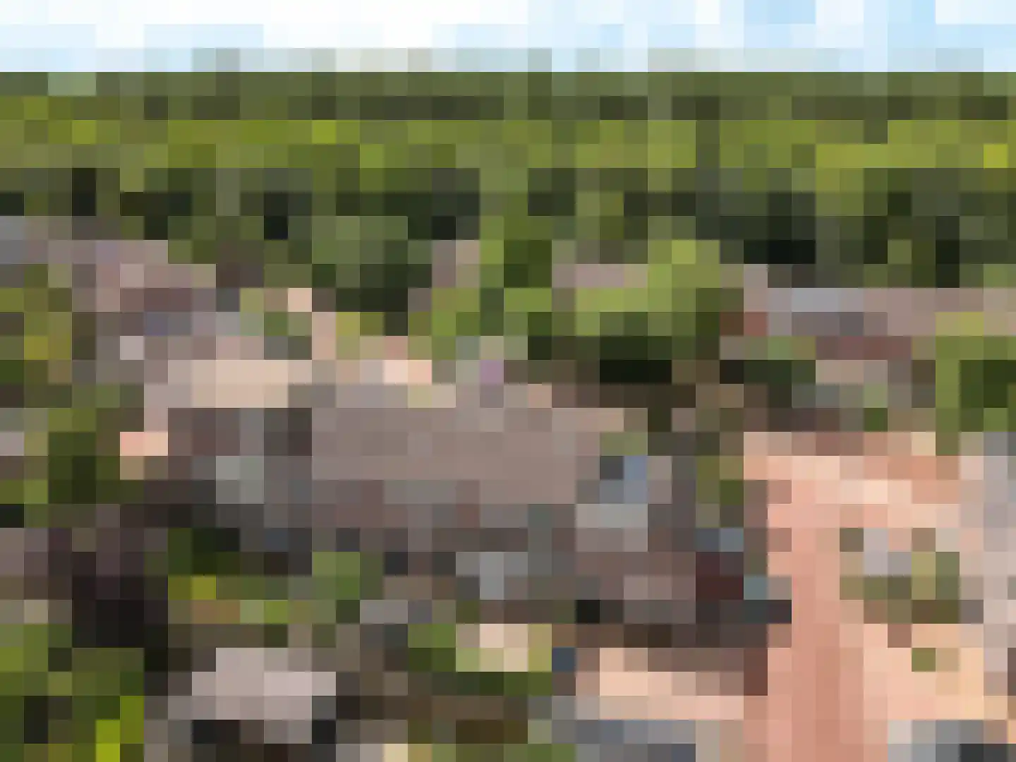 Rozengaard 18 6 Lelystad thumbnail 43