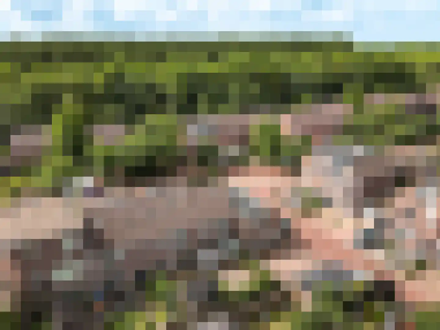 Rozengaard 18 6 Lelystad thumbnail 44