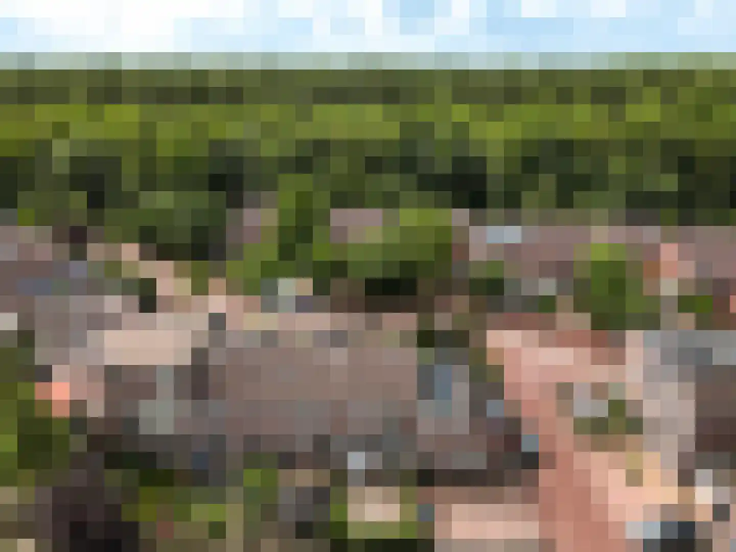 Rozengaard 18 6 Lelystad thumbnail 6