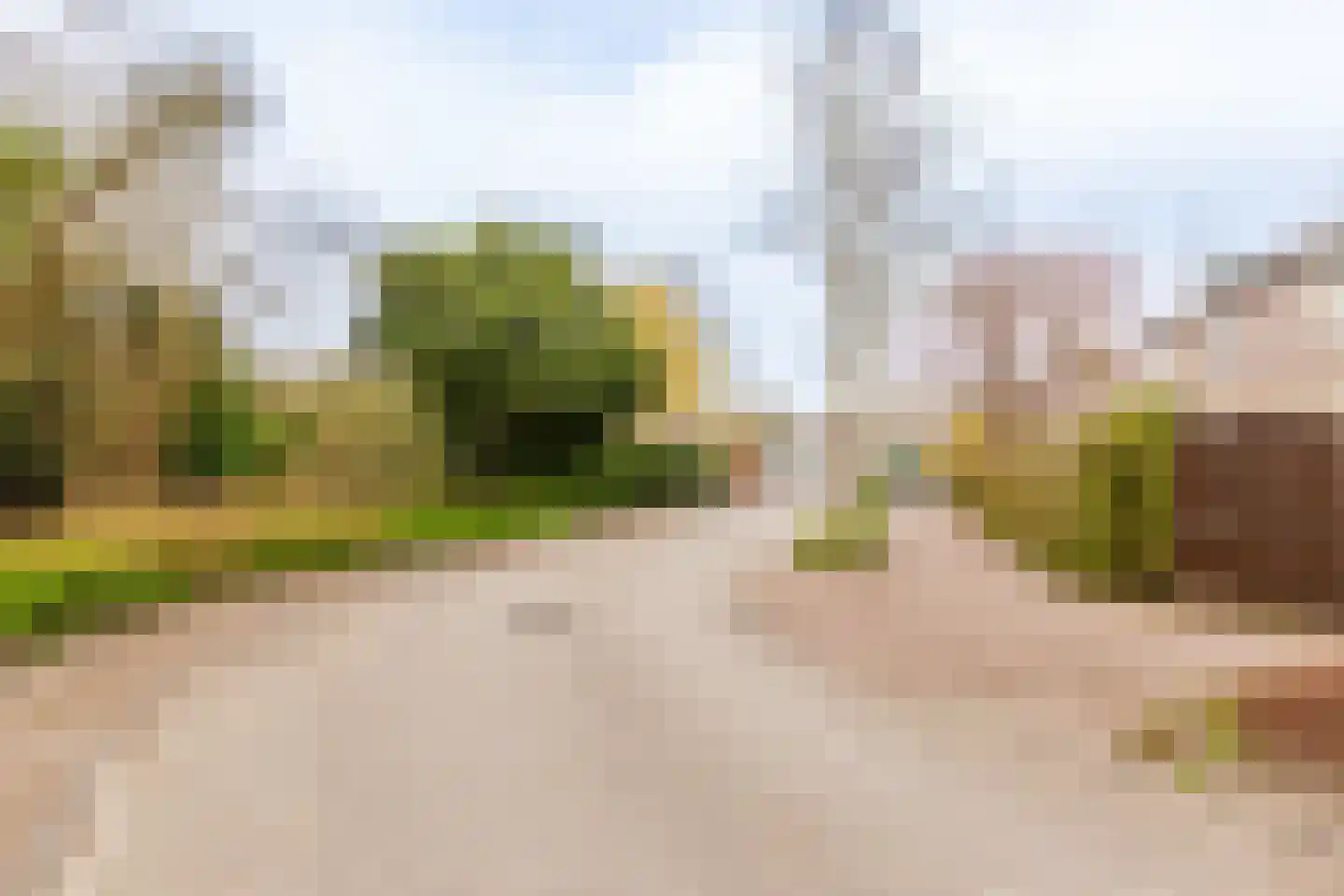 Rozengaard 19 11 Lelystad thumbnail 32