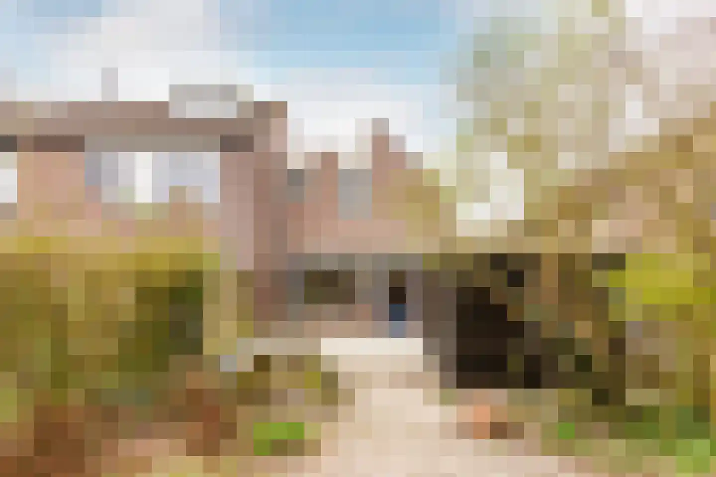 Rozengaard 19 11 Lelystad thumbnail 4