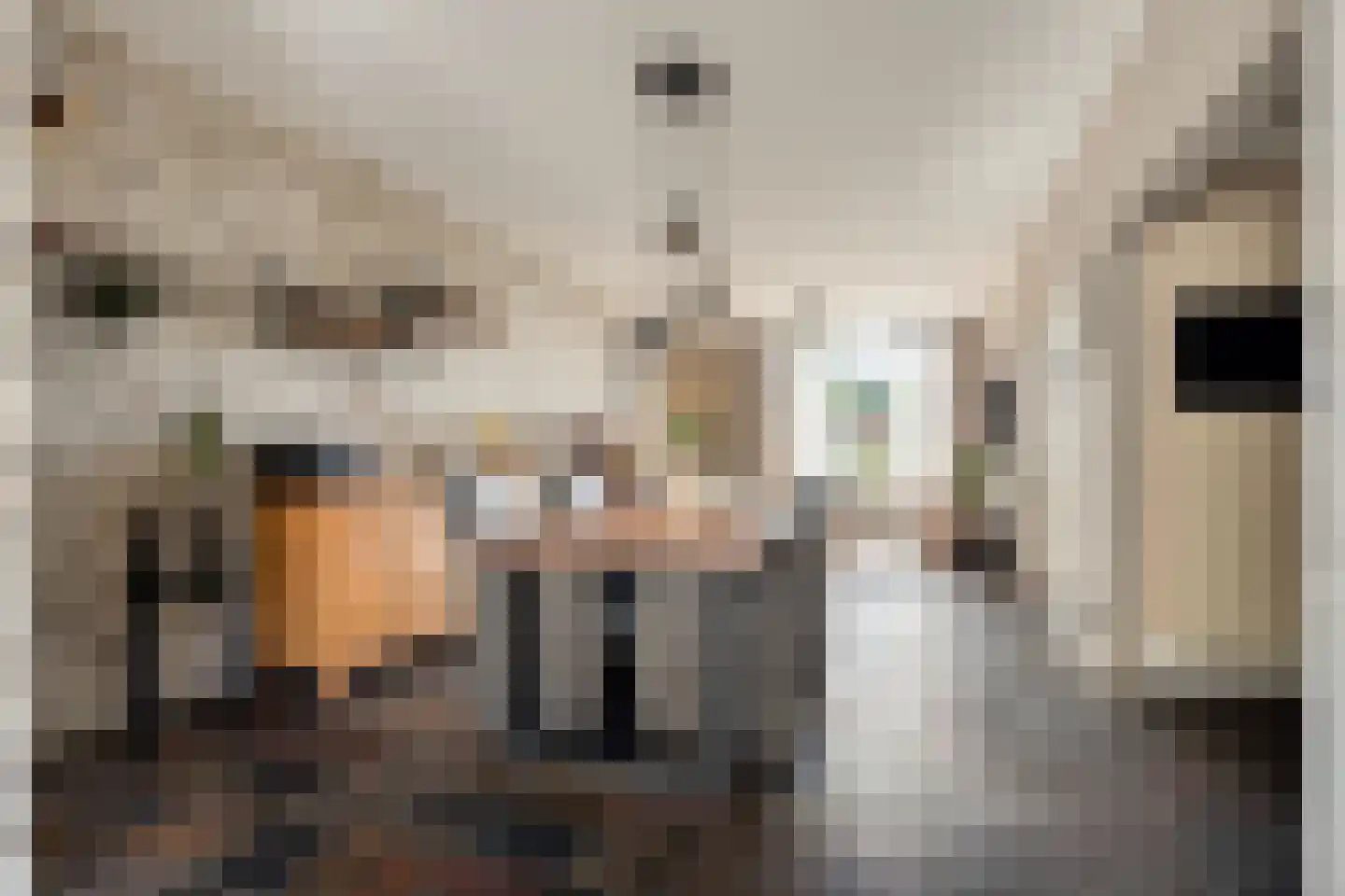 Rozengaard 77 Boxtel thumbnail 15