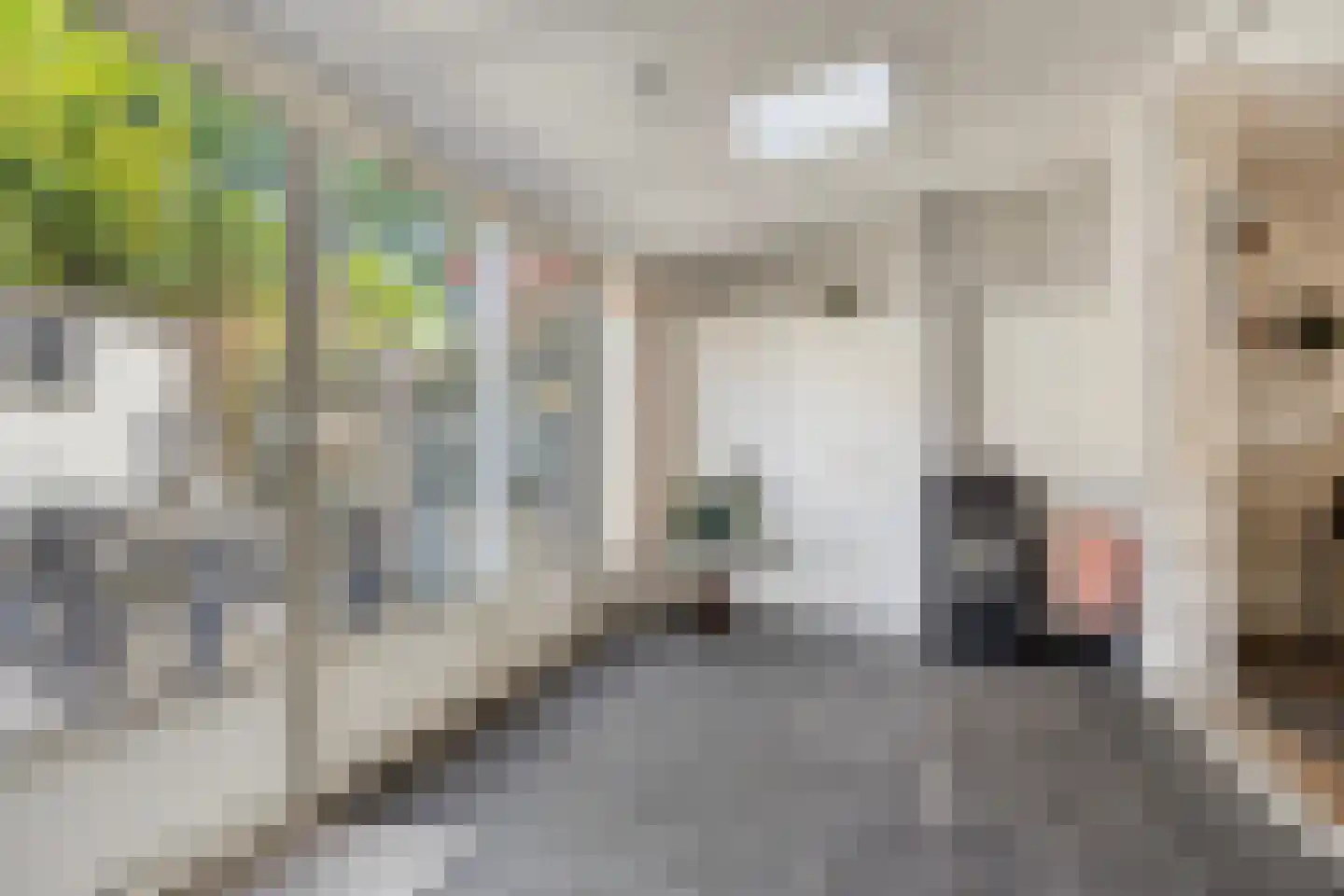 Rozengaard 77 Boxtel thumbnail 23