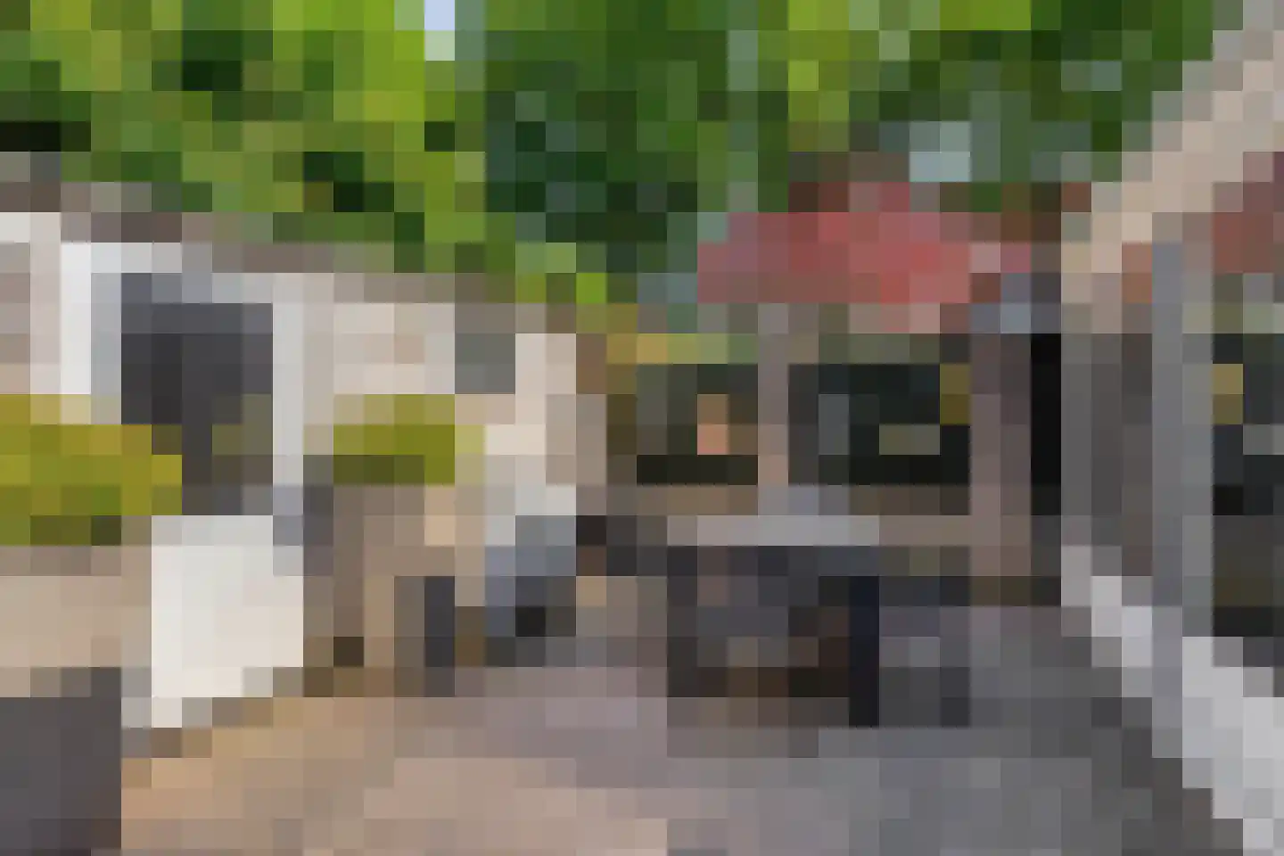 Rozengaard 77 Boxtel thumbnail 36