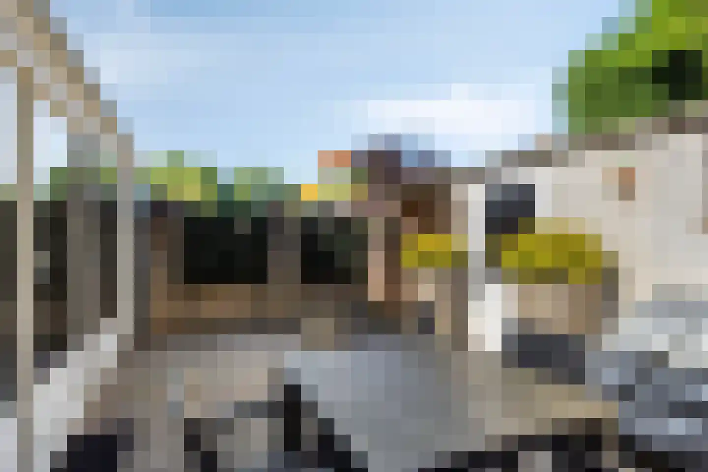 Rozengaard 77 Boxtel thumbnail 37