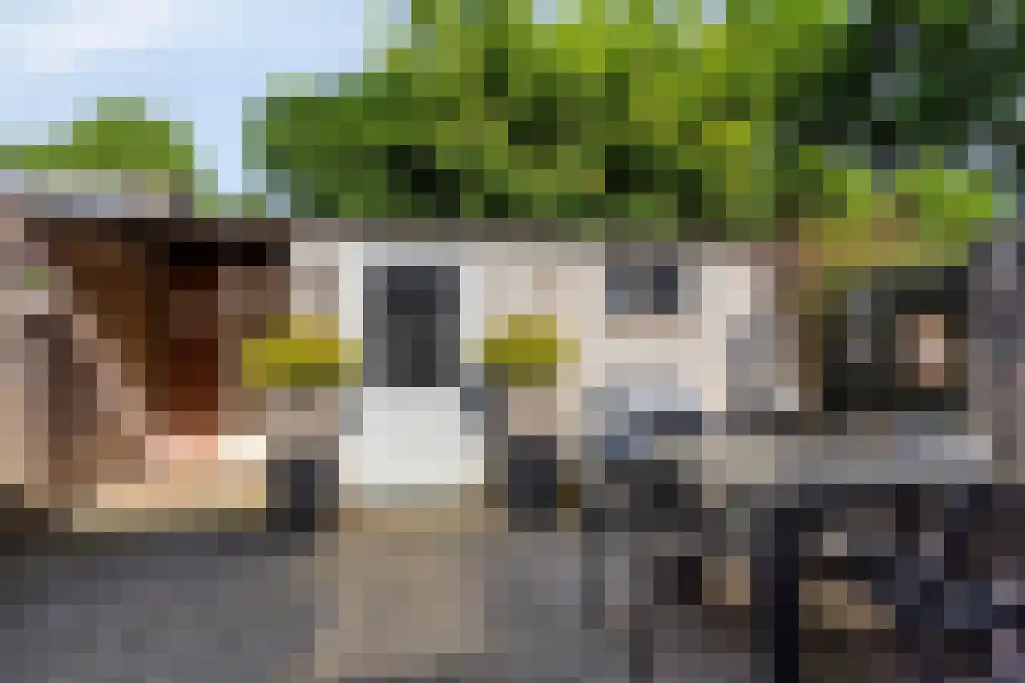Rozengaard 77 Boxtel thumbnail 37