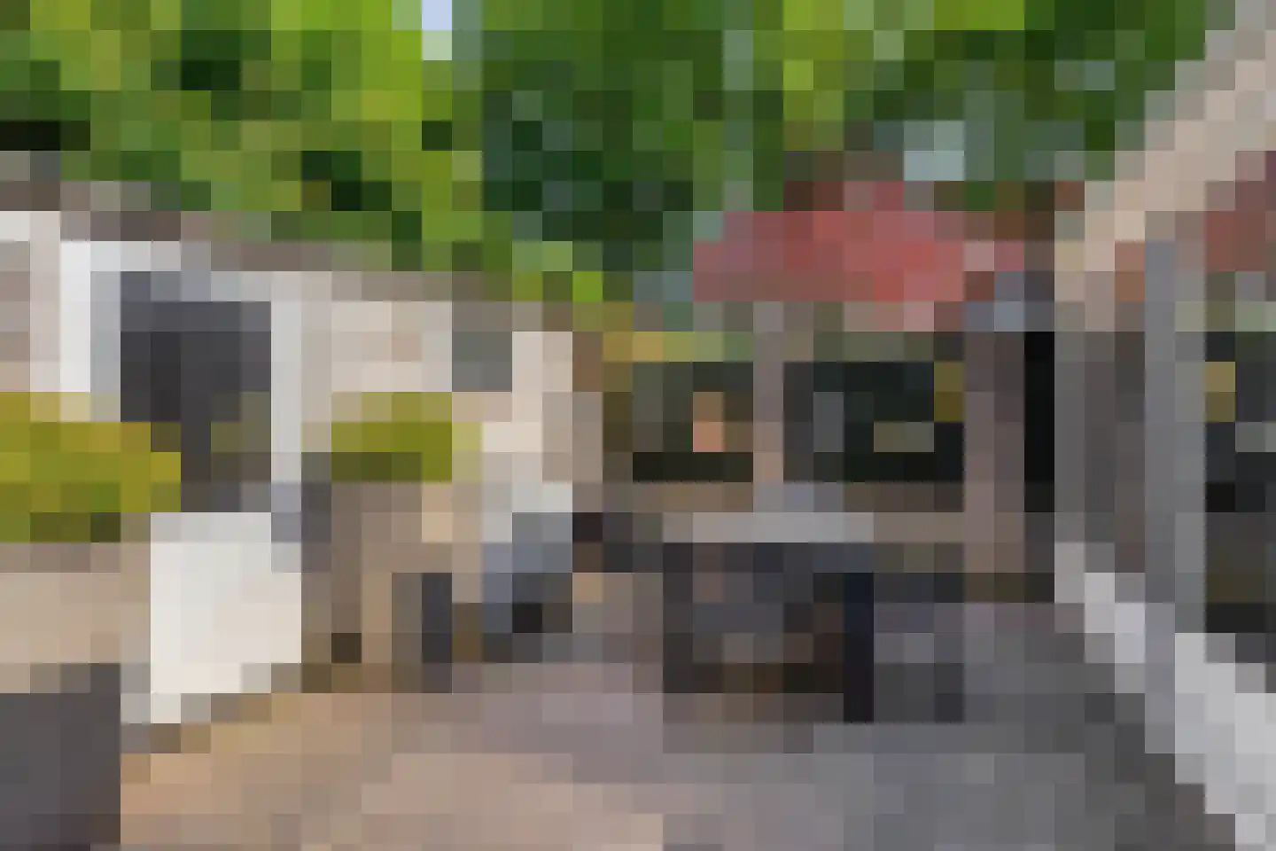 Rozengaard 77 Boxtel thumbnail 38