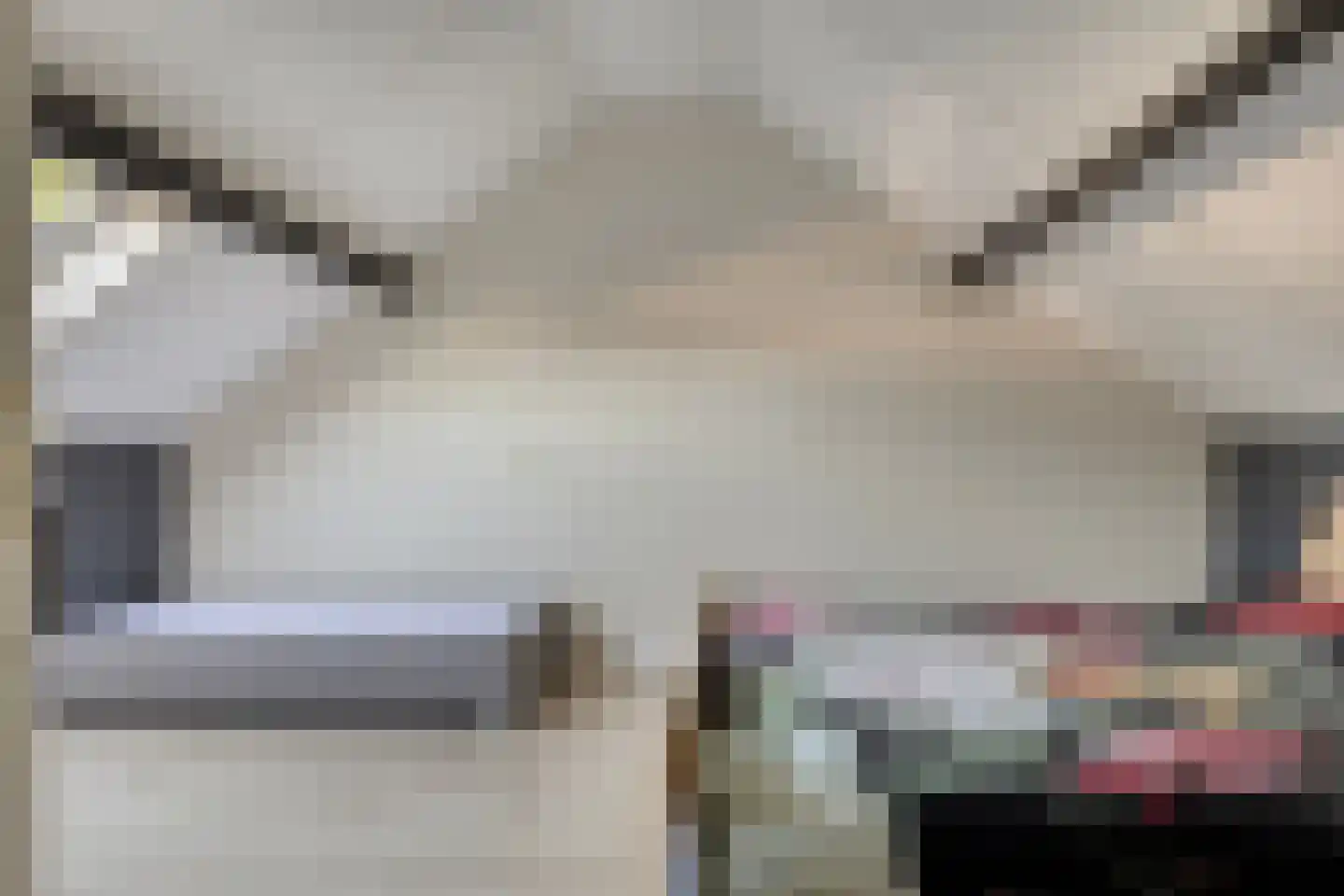 Rozengaard 77 Boxtel thumbnail 7