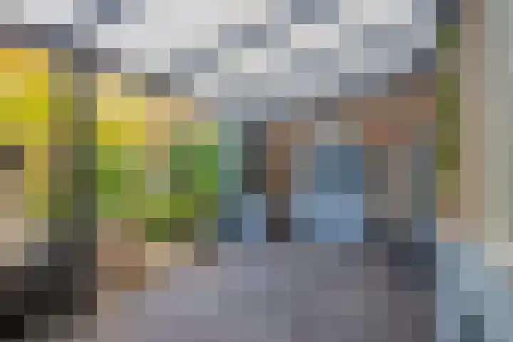 Rozengaard 9 Boxtel thumbnail 35