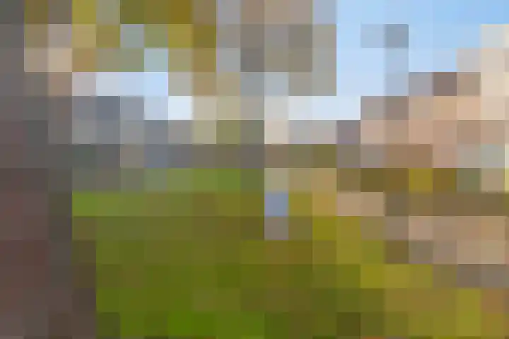 Rozengaard 9 Boxtel thumbnail 38