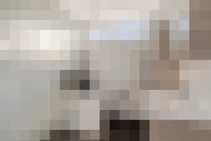Rozengaard 9 Boxtel thumbnail 4