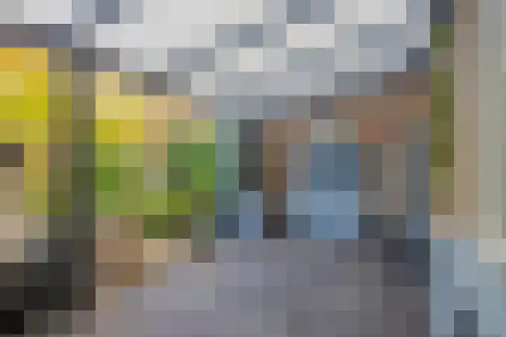 Rozengaard 9 Boxtel thumbnail 7
