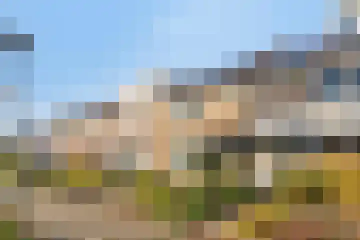 Rozengaard 9 Boxtel thumbnail 8
