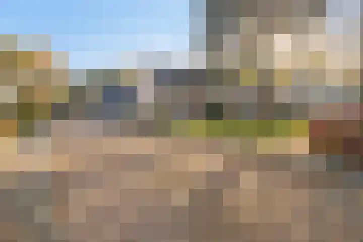 Rozengaard 9 Boxtel thumbnail 9