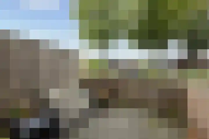 Rozengaarde 13 Rijssen thumbnail 22