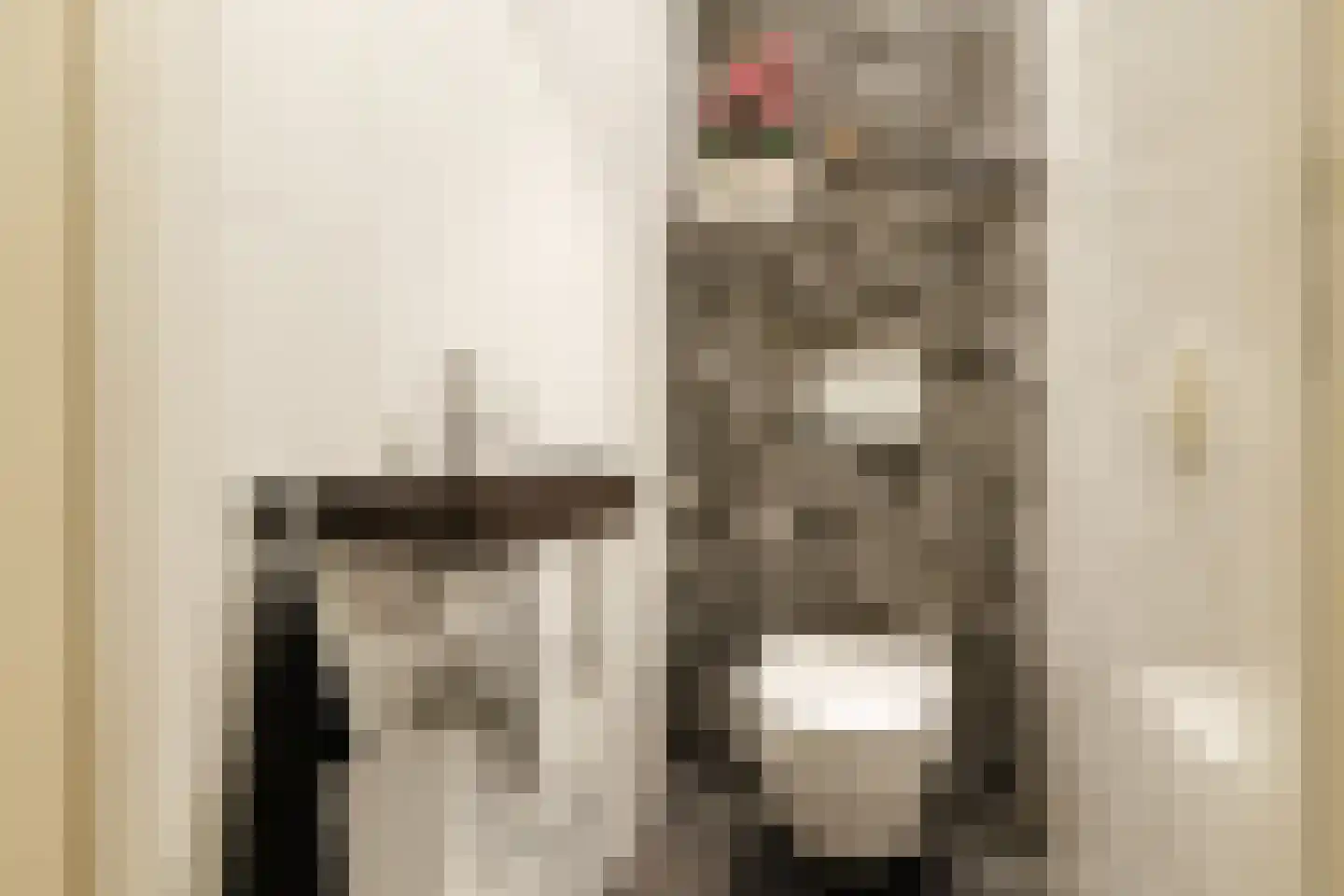 Rozengaarde 19 Rijssen thumbnail 14