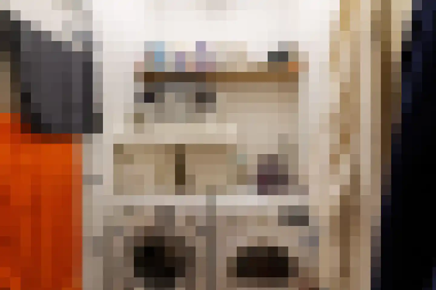 Rozengaarde 19 Rijssen thumbnail 15