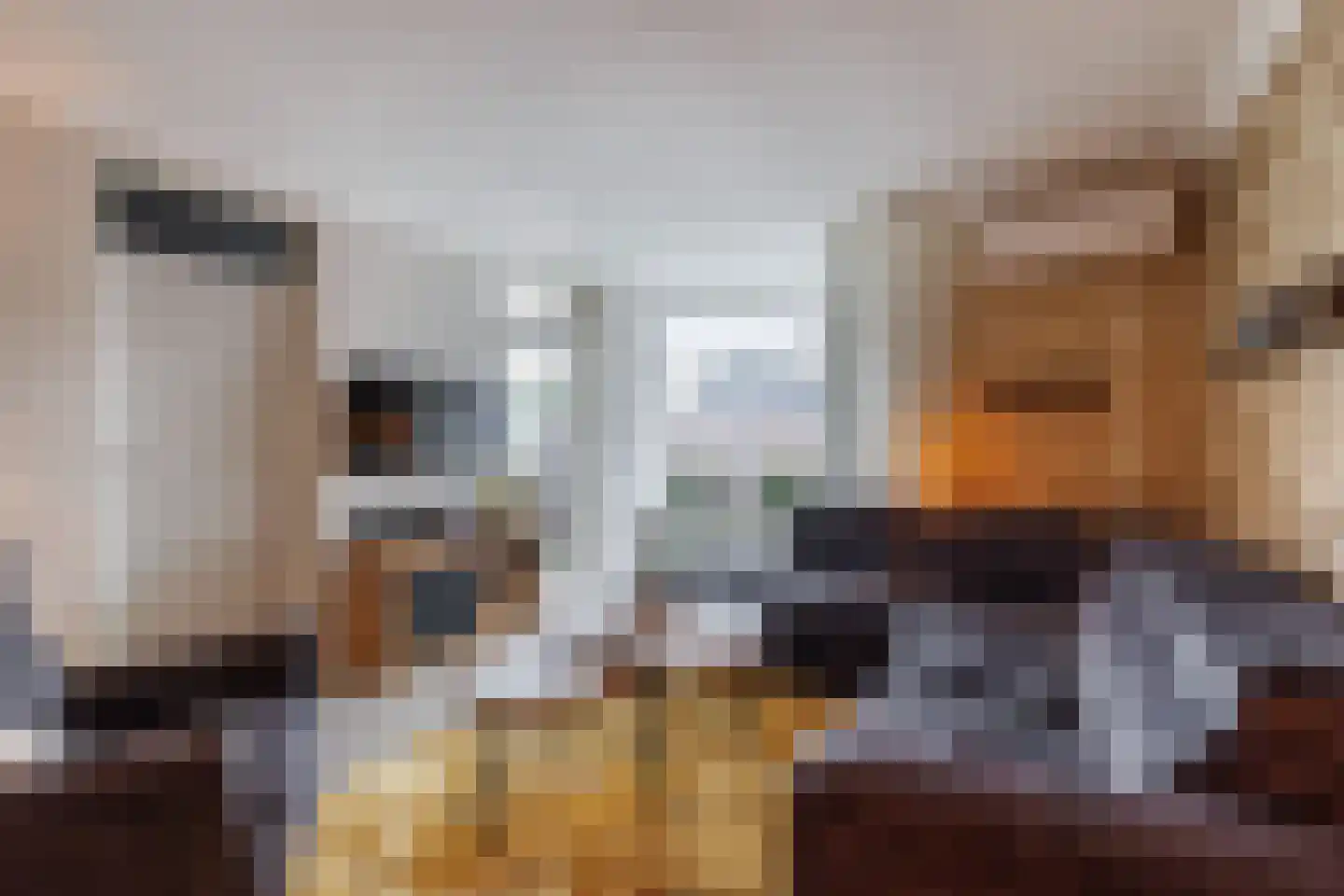 Rozengaarde 19 Rijssen thumbnail 17
