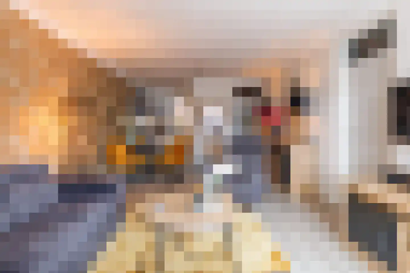 Rozengaarde 19 Rijssen thumbnail 18