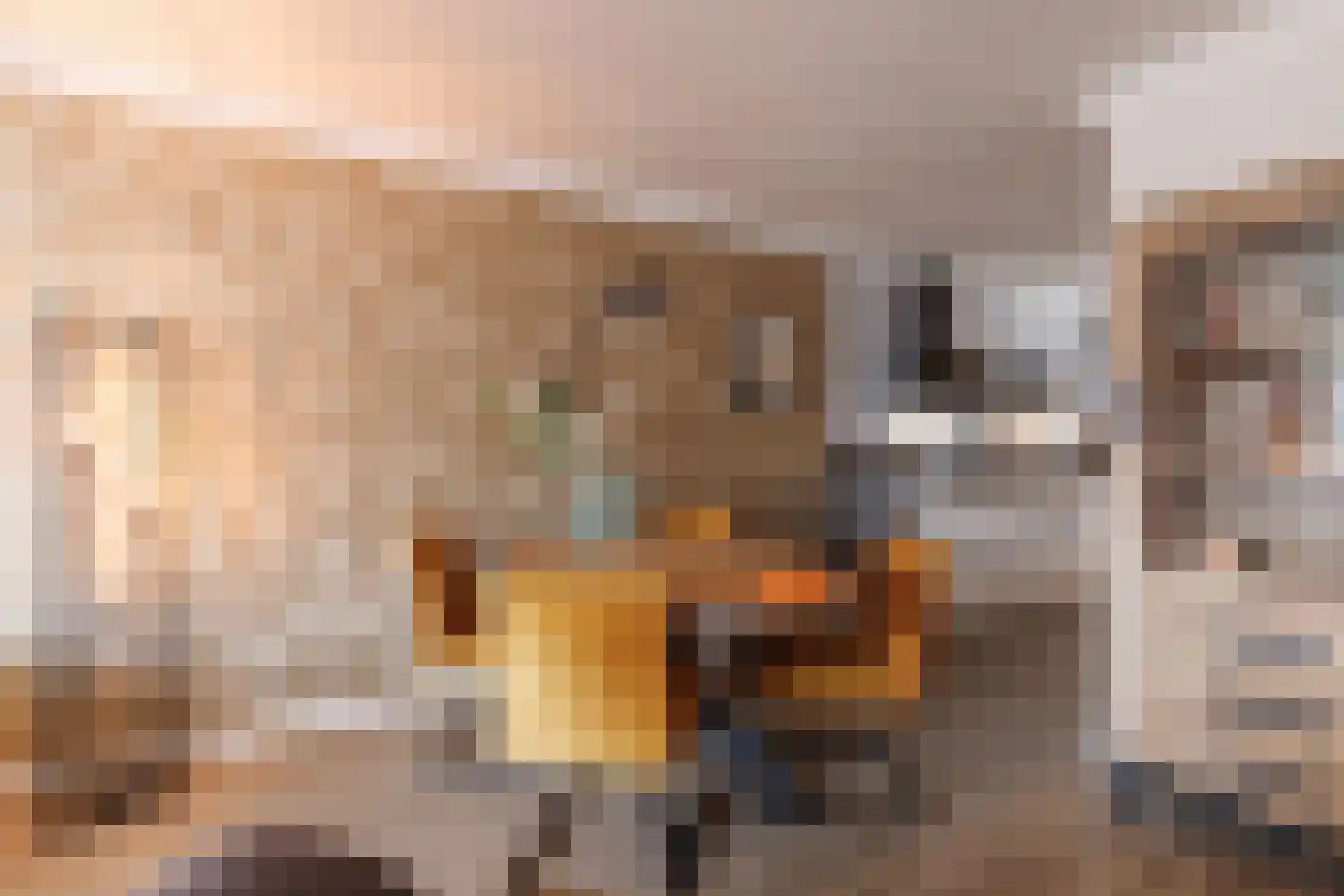 Rozengaarde 19 Rijssen thumbnail 19
