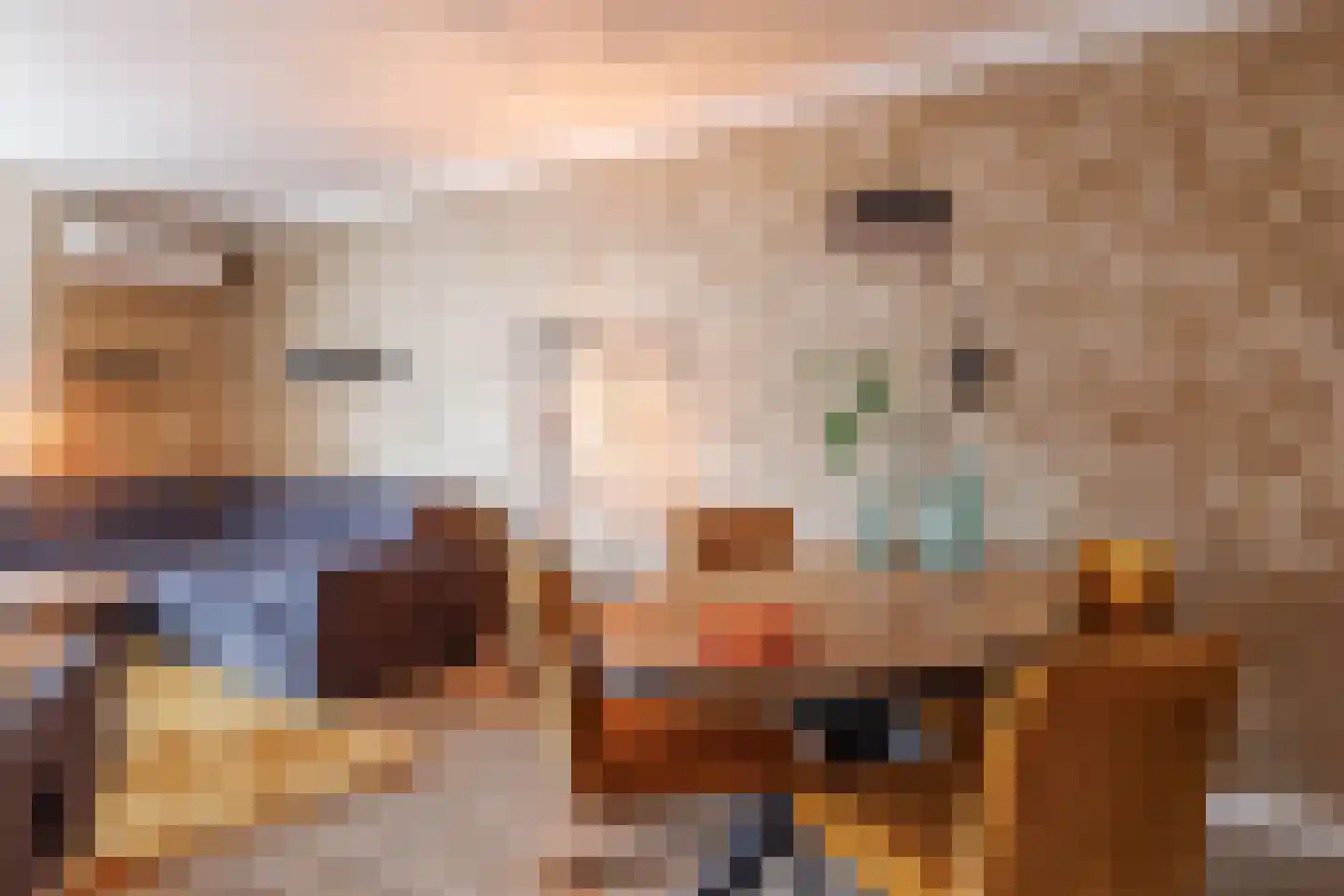 Rozengaarde 19 Rijssen thumbnail 20