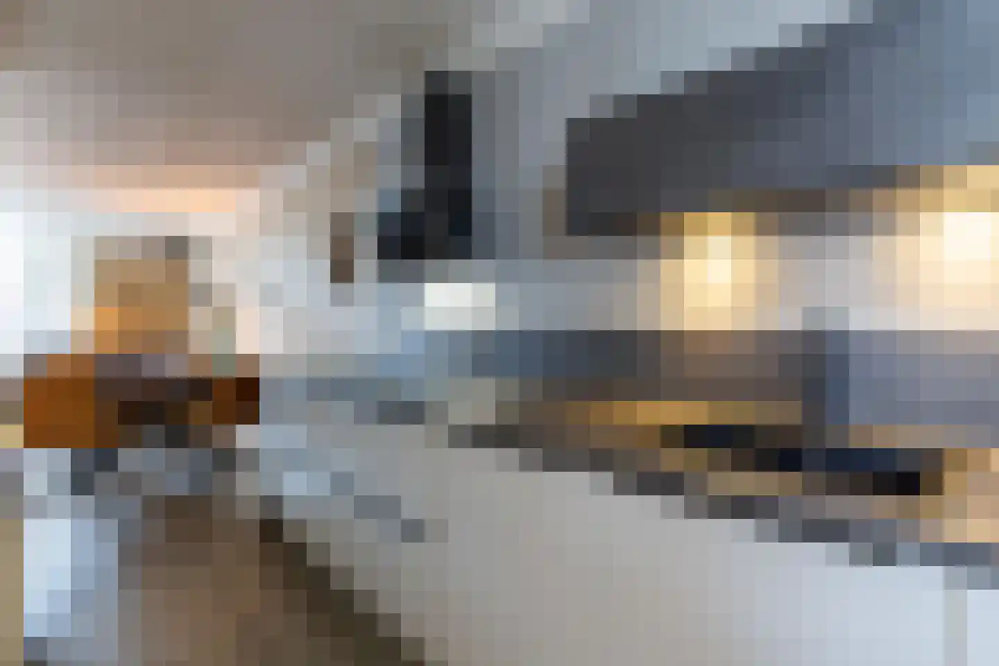 Rozengaarde 19 Rijssen thumbnail 24