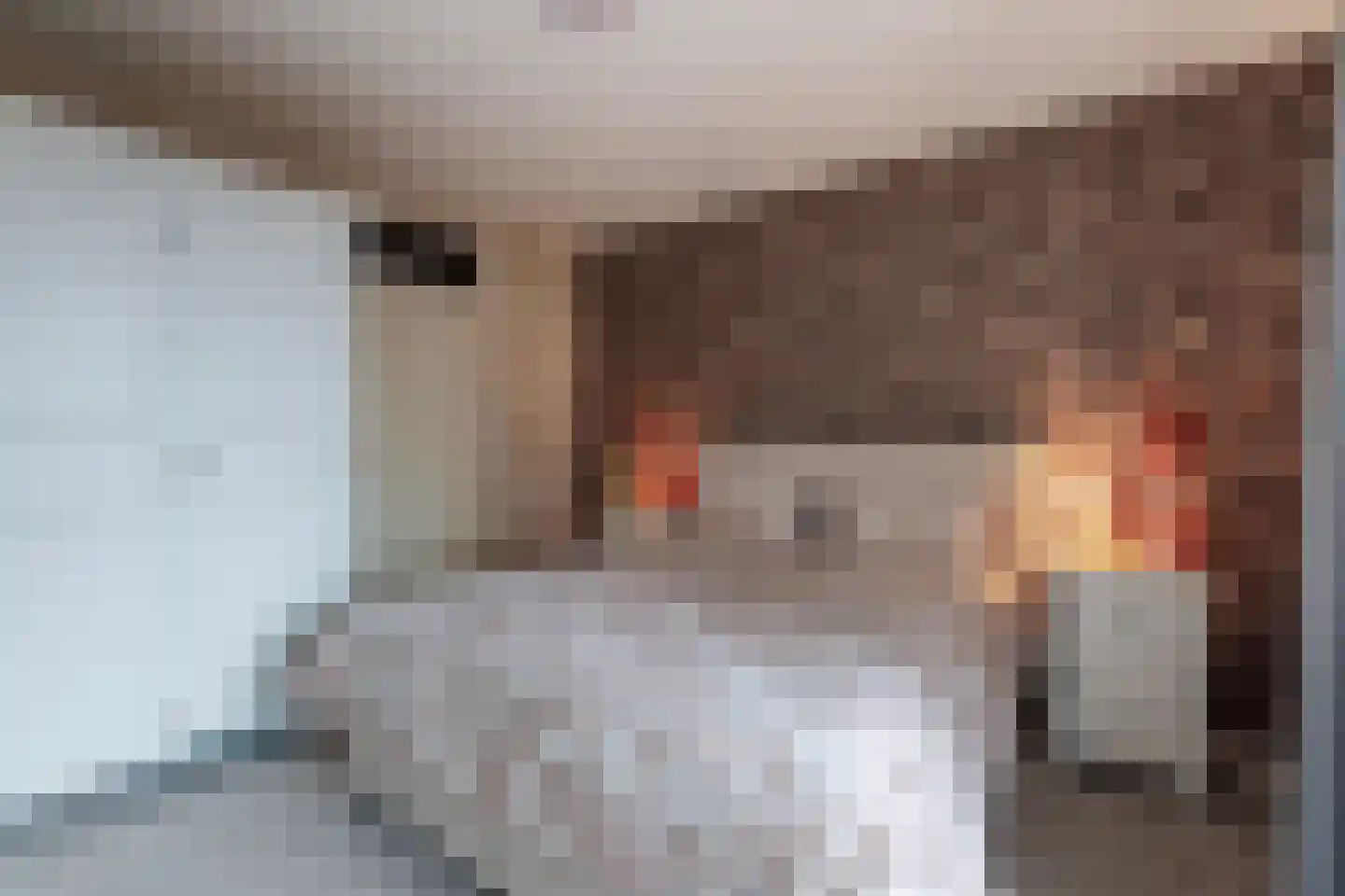 Rozengaarde 19 Rijssen thumbnail 27