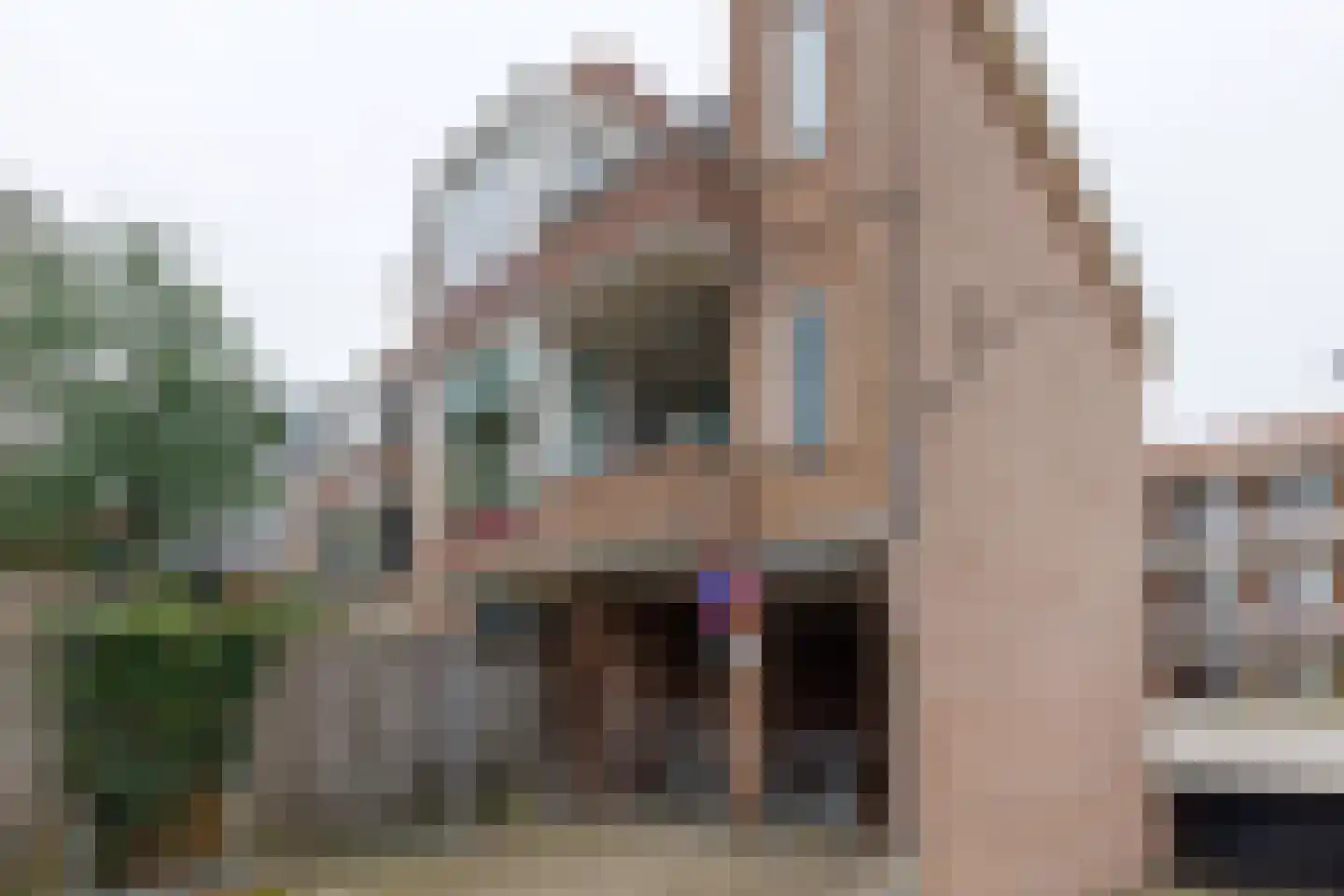 Rozengaarde 19 Rijssen foto 3