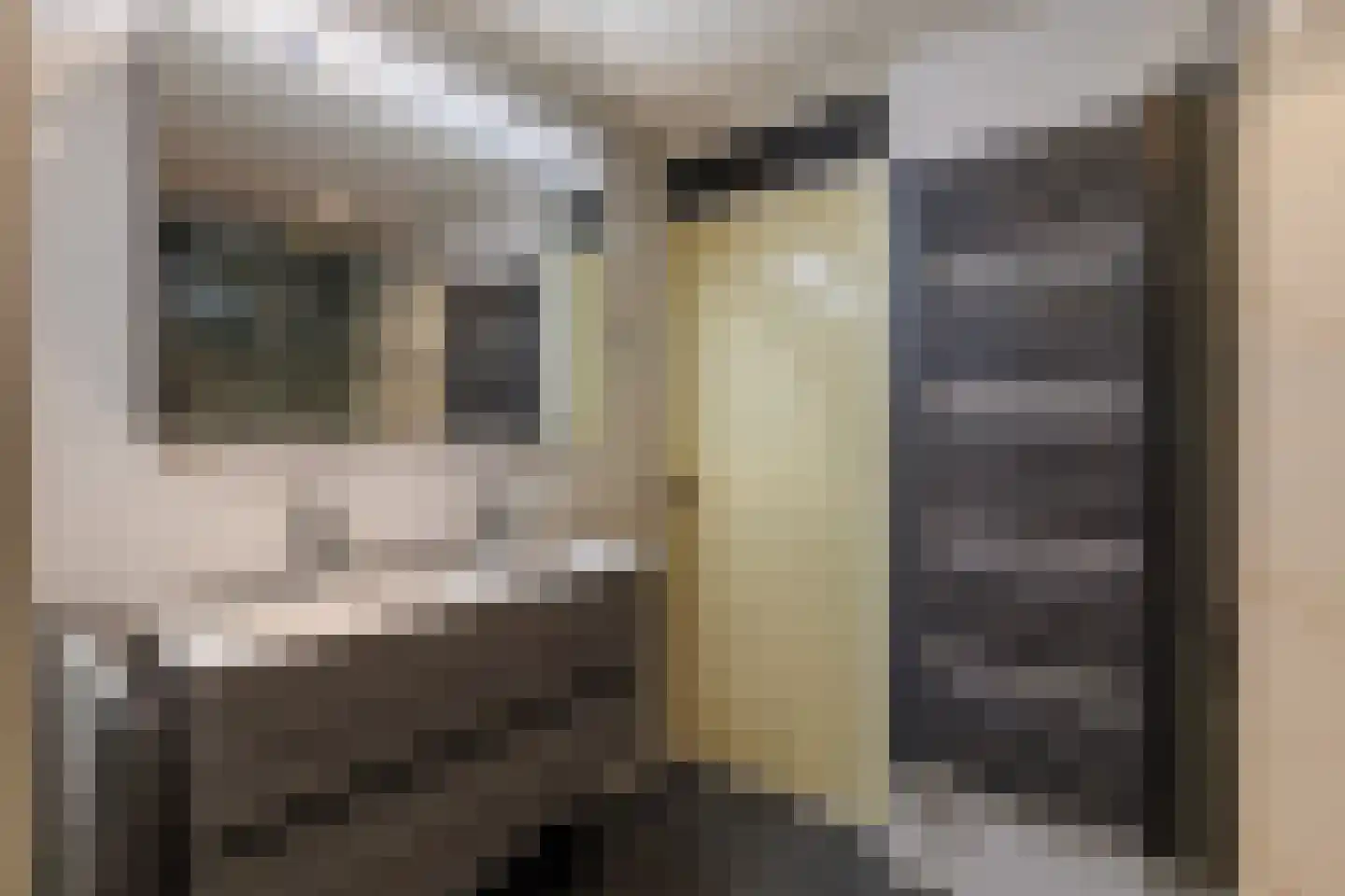 Rozengaarde 19 Rijssen thumbnail 30