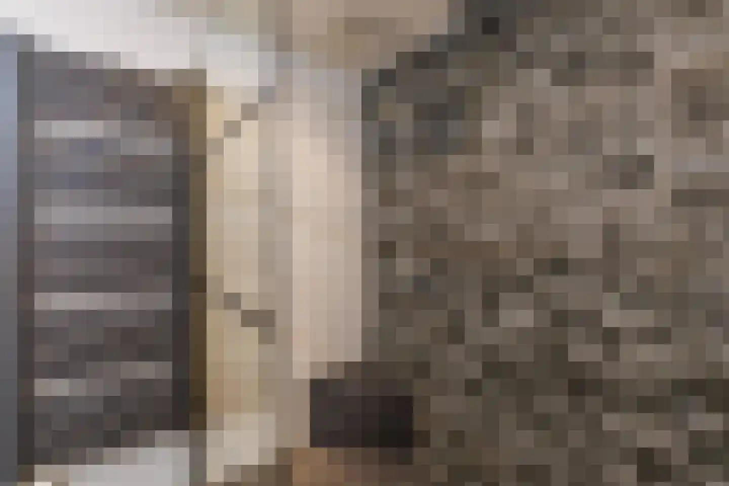Rozengaarde 19 Rijssen thumbnail 31