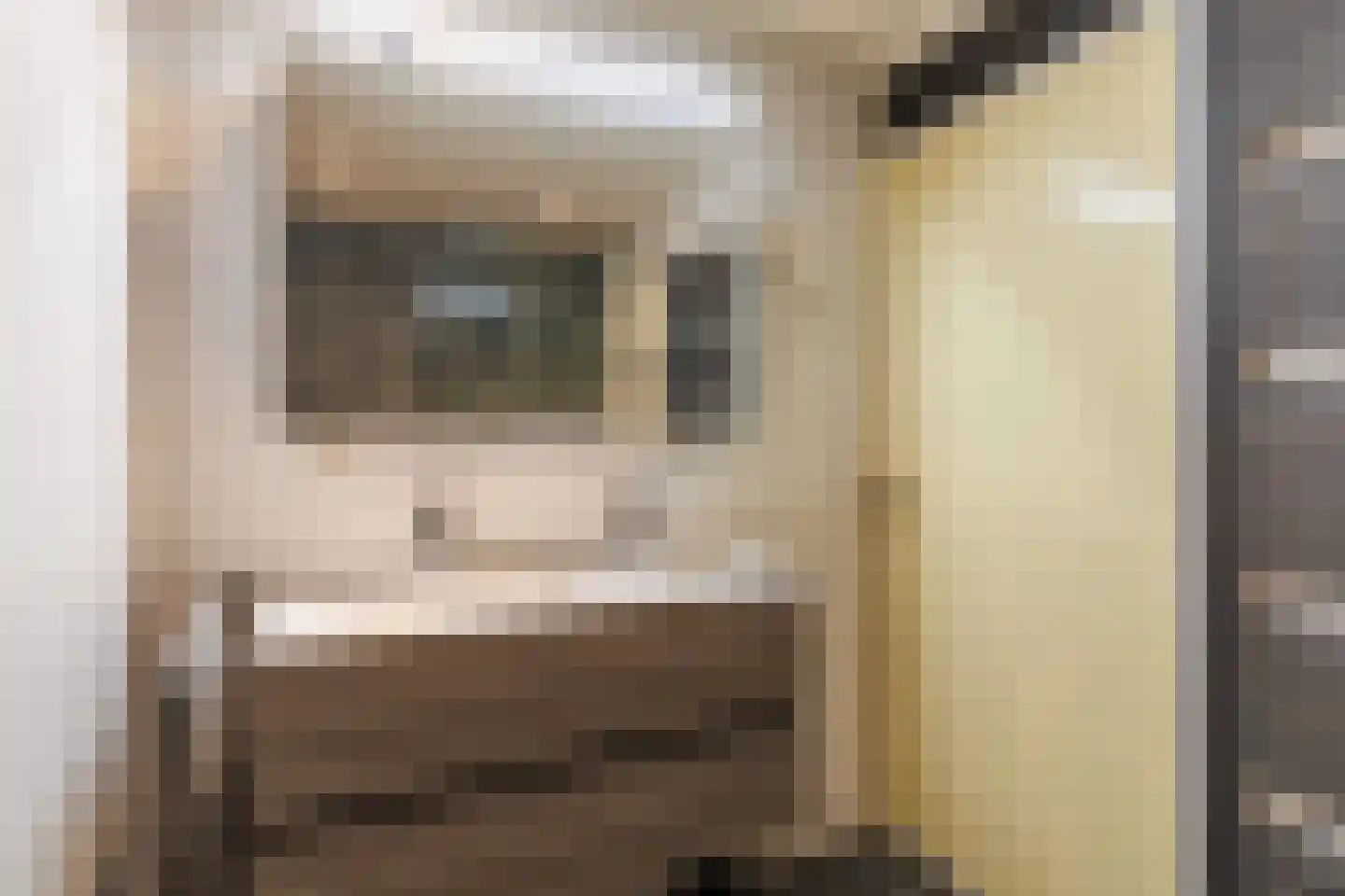 Rozengaarde 19 Rijssen thumbnail 32