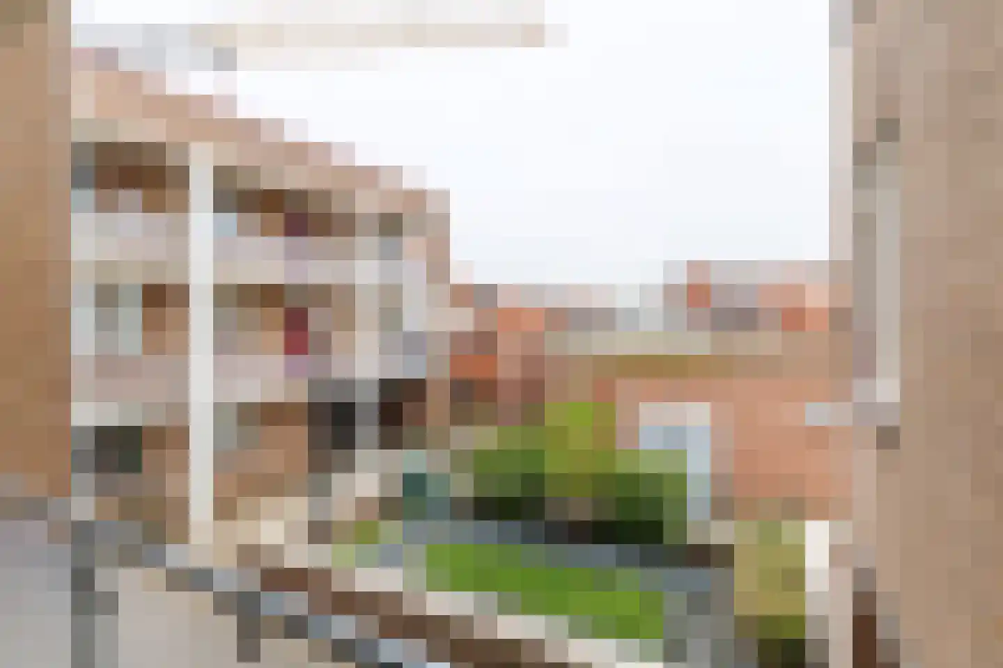 Rozengaarde 19 Rijssen thumbnail 38