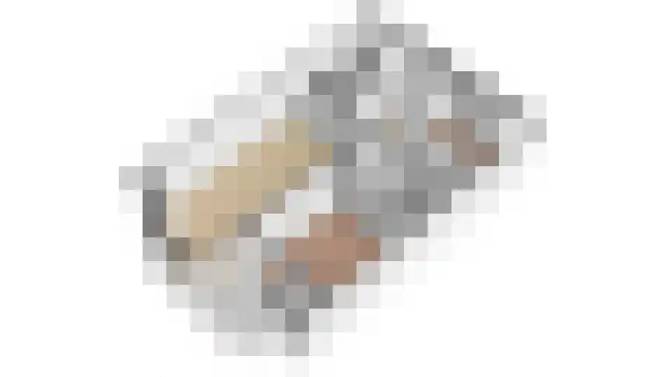Rozengaarde 19 Rijssen thumbnail 46